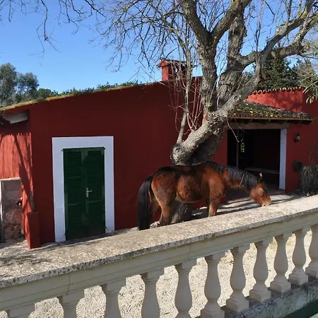 Villa Son Amora *
